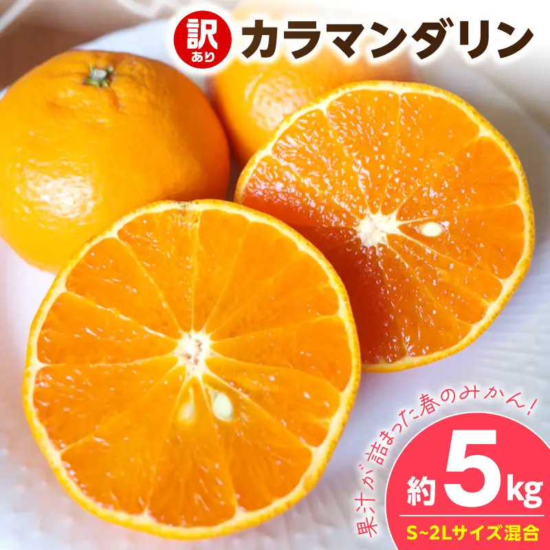 【2027年先行予約】《訳あり 家庭用》カラマンダリン 約5kg（S～2Lサイズ混合）_EQ6006