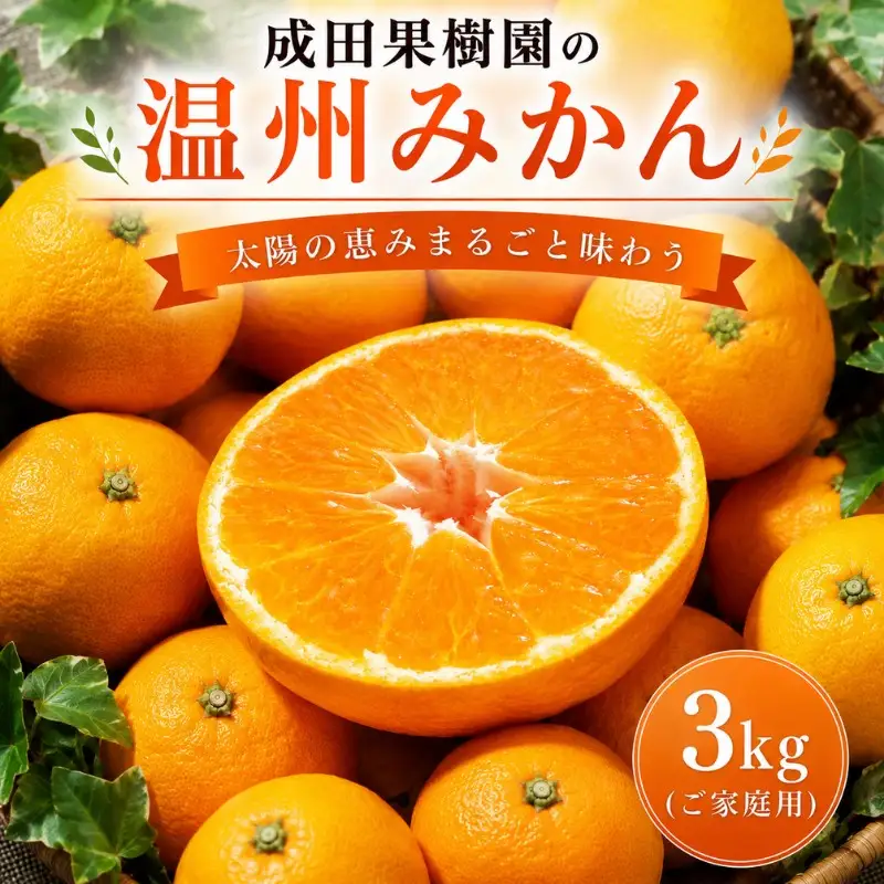 成田果樹園の温州みかん 3kg（ご家庭用）［1816］