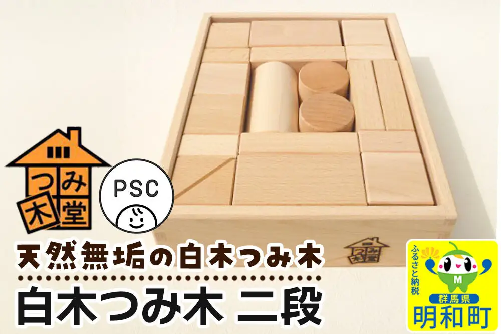 はじめてのつみ木（340×250×90mm）天然無垢 白木つみ木 つみき 積み木 木のおもちゃ つみ木堂 群馬県 明和町