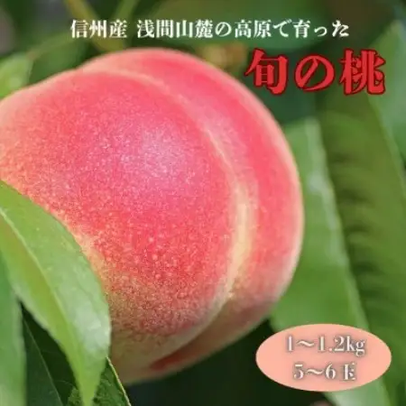 長野県浅間山麓　御代田町の桃　家族で楽しむ食べ切りハーフ箱(1～1.2kg)【配送不可地域：離島・北海道・沖縄県】【1754261】