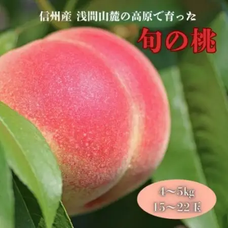 長野県浅間山麓　御代田町の桃(4～5kg)【配送不可地域：離島・北海道・沖縄県】【1754264】