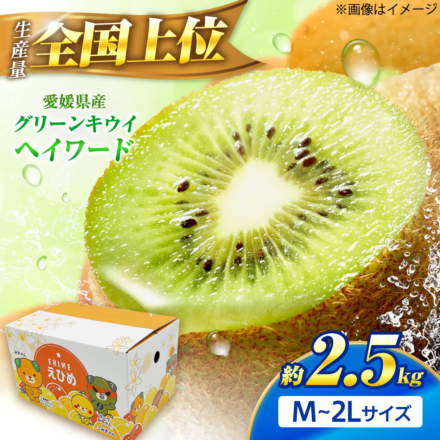 キウイフルーツ グリーンキウイ ご家庭用 M-2Lサイズ 約2.5kg 【1月上旬から3月下旬まで順次発送】 / フルーツ 果物 キウイ キューイ キゥイ キュウイ グリーン 甘い 先行予約 愛媛 おすすめ / 愛媛県砥部町/株式会社フジ・アグリフーズ[BJBI019]