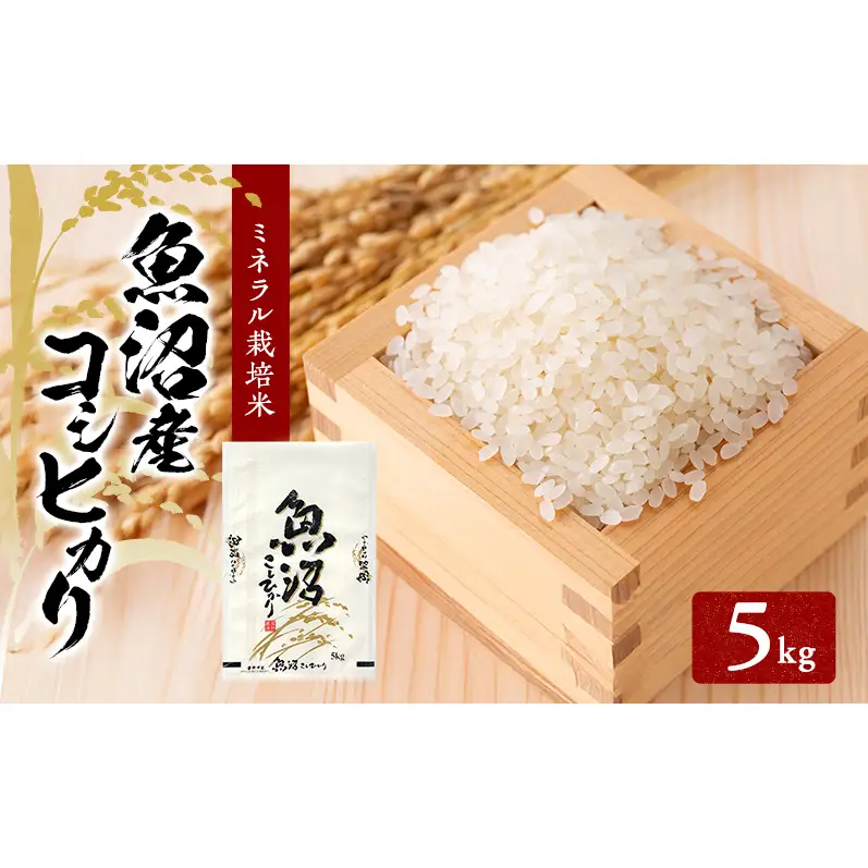 先行予約 令和8年産 魚沼産コシヒカリ ミネラル栽培米（精米）5kg