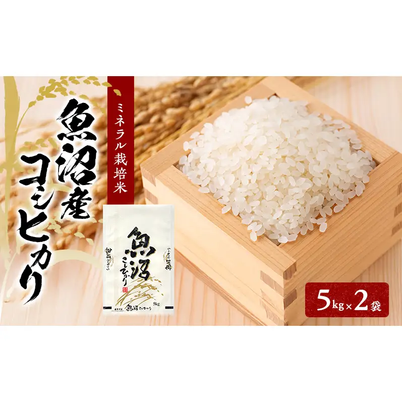 先行予約 令和8年産 魚沼産コシヒカリ ミネラル栽培米（精米）10kg（5kg×2）