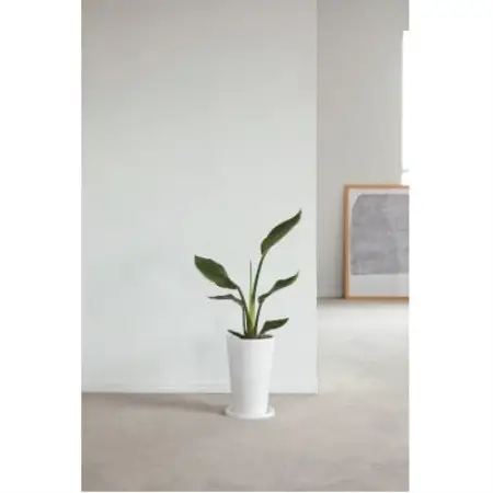 オーガスタ陶器鉢植え【1716686】