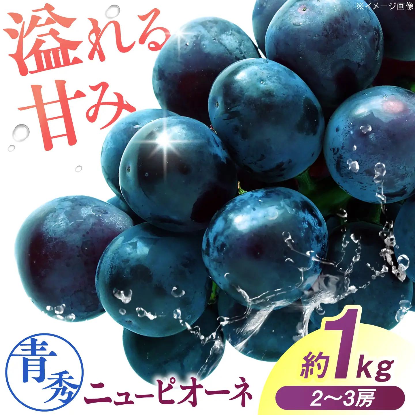 ぶどう ニューピオーネ 青秀 約1kg APCM023 ぶどう