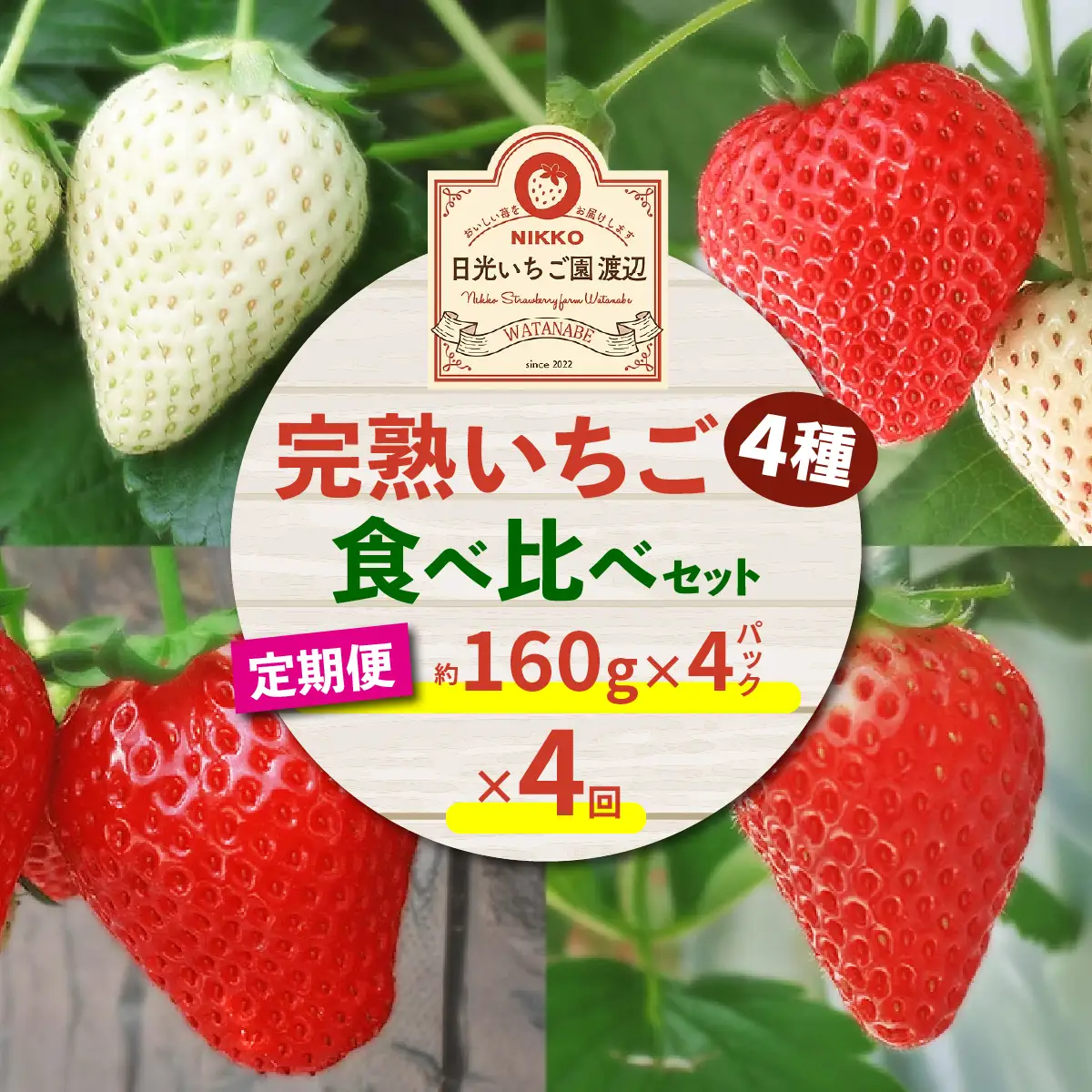 [先行予約][定期便／4ヶ月] 日光の自然が育む「完熟いちご」 4種類を毎月食べ比べ！[2027年1月より発送開始] [0965]
