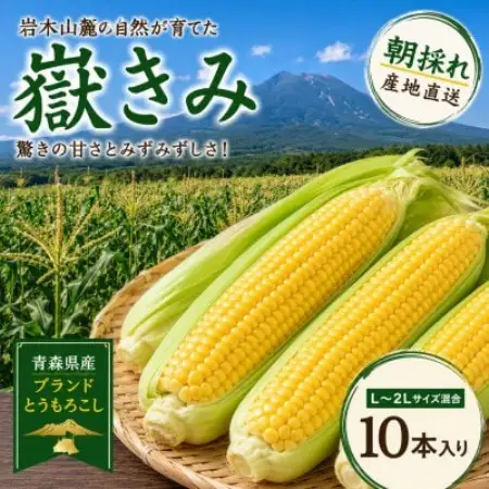 とうもろこし 朝採り 嶽きみ(だけきみ) 10本 L～2Lサイズ 冷蔵【配送不可地域：離島・沖縄県・九州】【1757166】