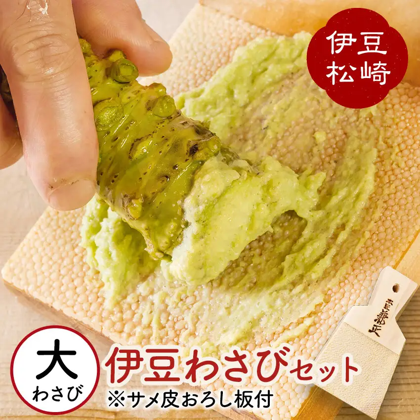 伊豆のわさびセットＥ　　　　ワサビ 本わさび わさび丼 刺身 お寿司 肉 そば 焼酎 ご飯 おにぎり 薬味 ギフト プレゼント 取り寄せ 御中元 お歳暮 産地直送 静岡県 松崎町 伊豆