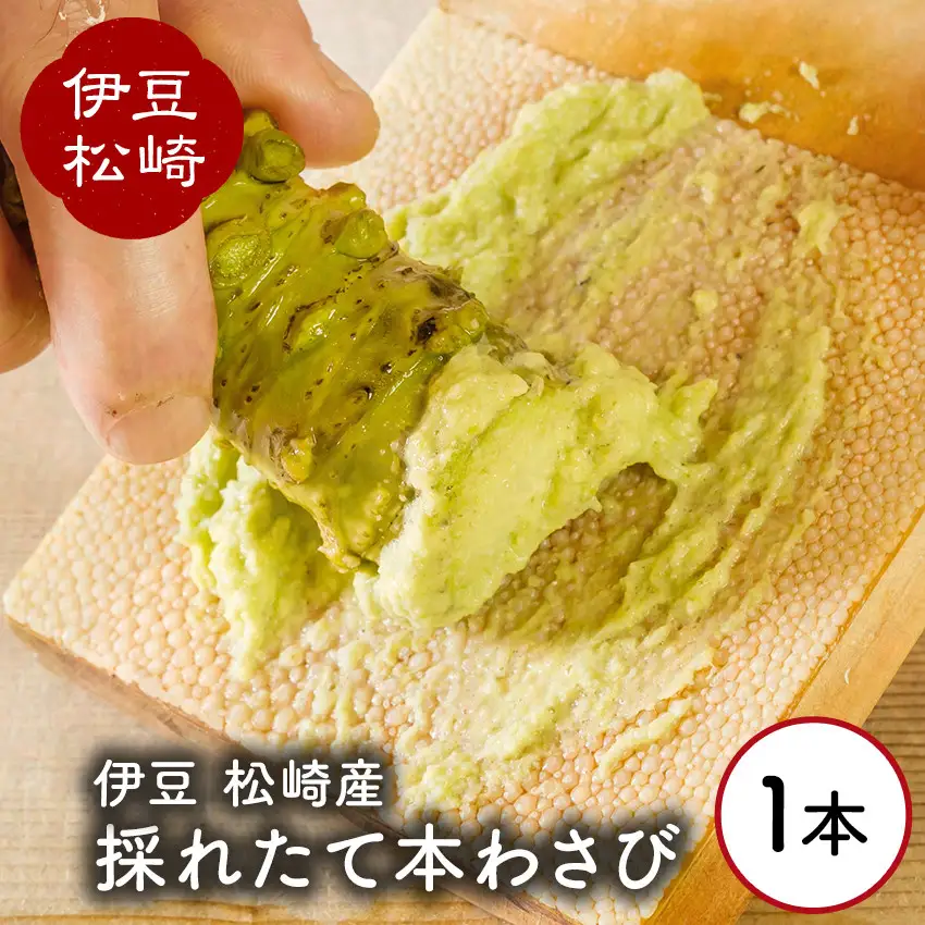 伊豆の生わさび 1本　　【 わさび 】