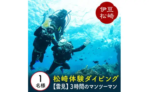 【西伊豆雲見体験ダイビング☆１ダイブ】