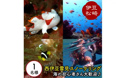 西伊豆雲見スノーケリング
