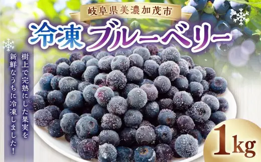 冷凍ブルーベリー 1kg 1個 完熟 ブルーベリー 【2026年10月下旬までに発送予定】