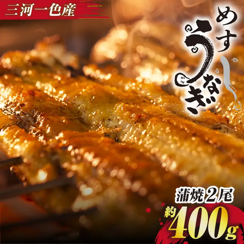 手焼き 三河一色産 めすうなぎ 蒲焼2尾(約400g)・A205