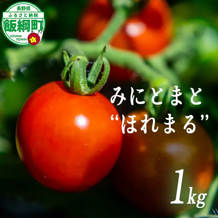 [ クール便 / 冷蔵便 ] 【 NAO's FARM 】 ミニトマト ほれまる 1kg 2026年8月上旬頃から2026年9月上旬頃まで順次発送予定 令和8年度収穫分沖縄県配送不可 株式会社みみずや 元サッカー日本代表 石川直宏 ほれまる 信州 野菜 甘い ミニトマト 産地直送 長野 予約 長野県 飯綱町 [2134]