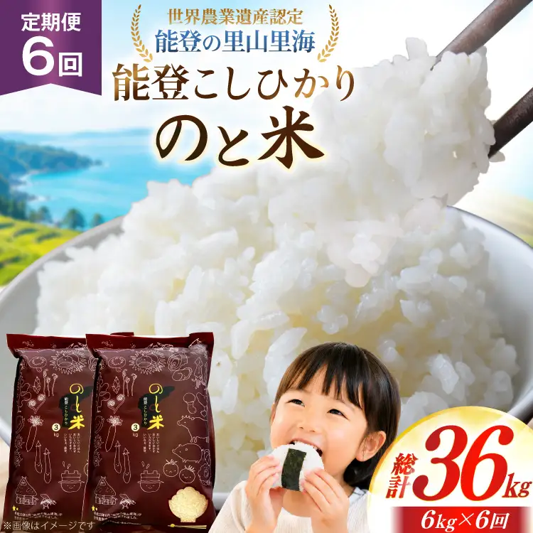 米 令和7年 のと米 能登こしひかり 6kg 6回 定期便