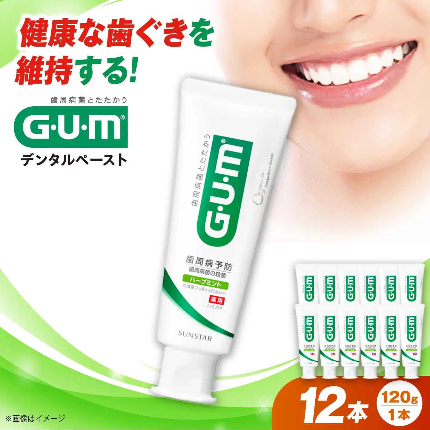 GUM デンタルペースト(ST) 120g×12本 大阪府高槻市/サンスター[AOAD079]