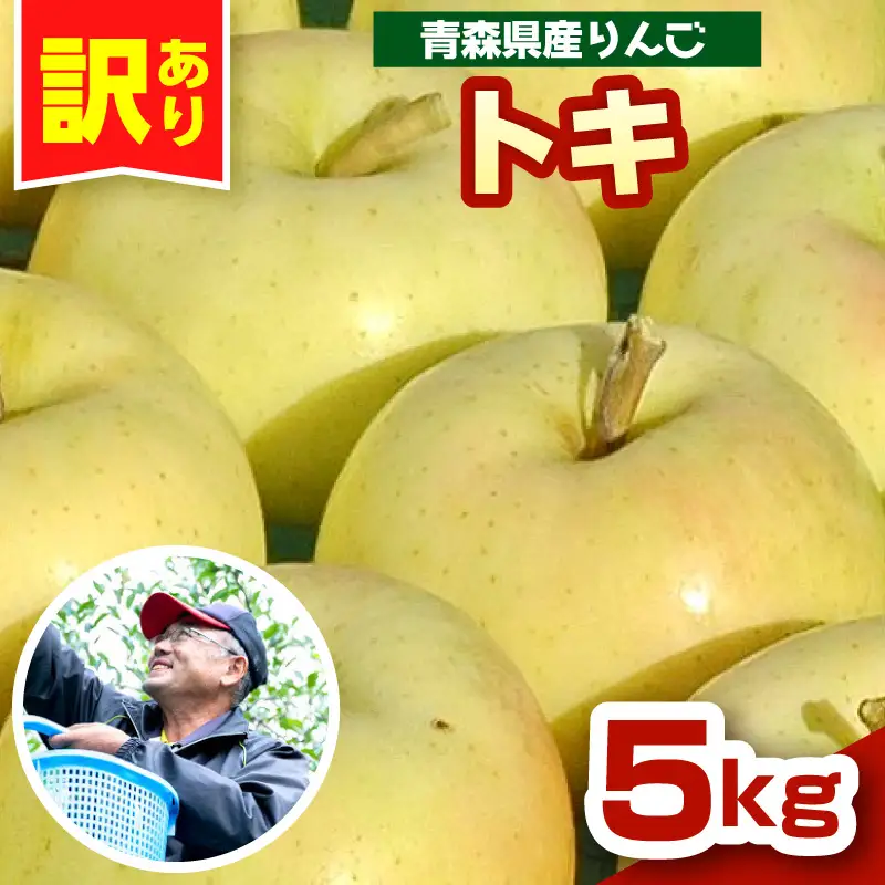 りんご　トキ約5kg 訳あり 10月中旬以降発送青森県五所川原市 りんご