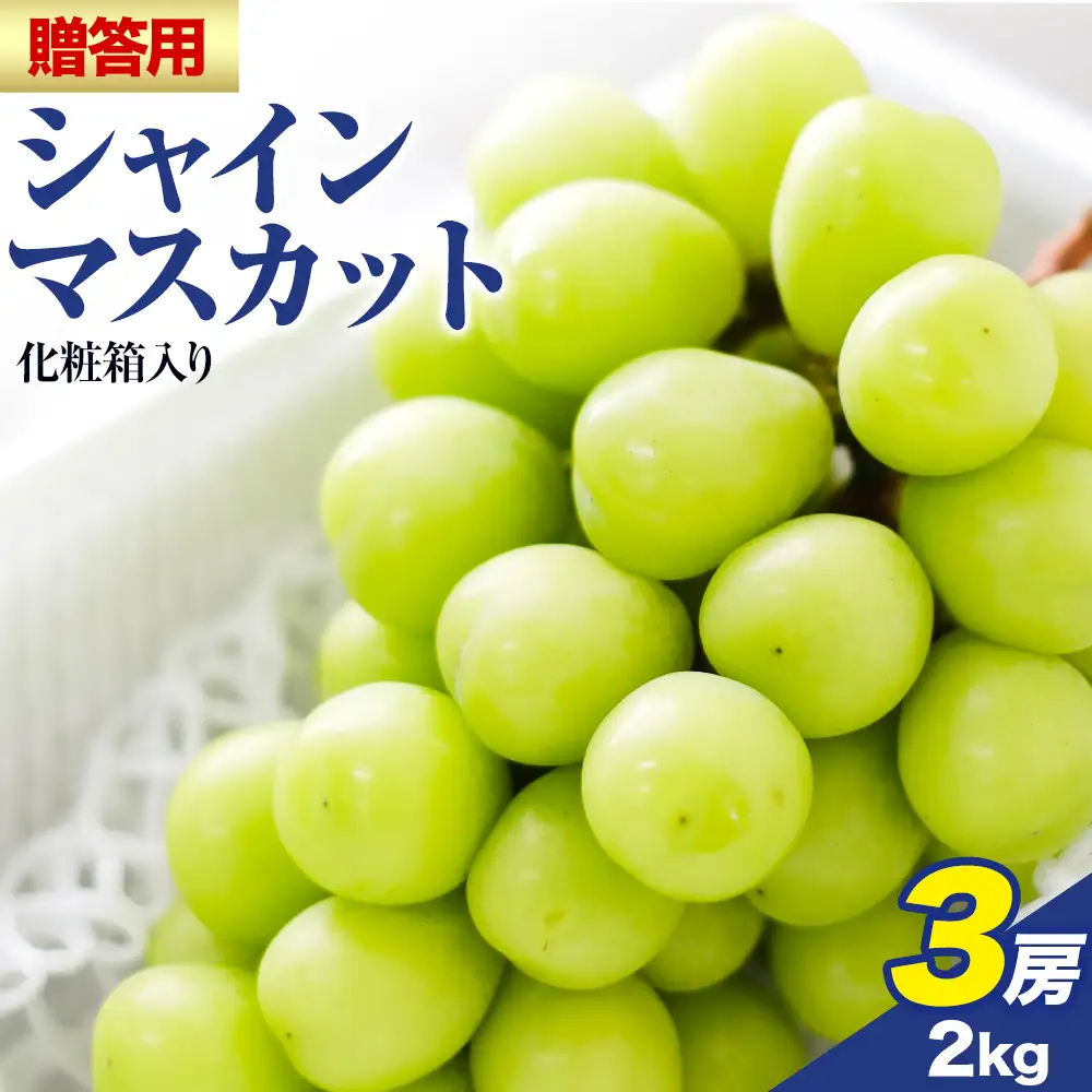 贈答用 フルーツ王国 岡山県産 シャインマスカット 化粧箱入り 3房 前後