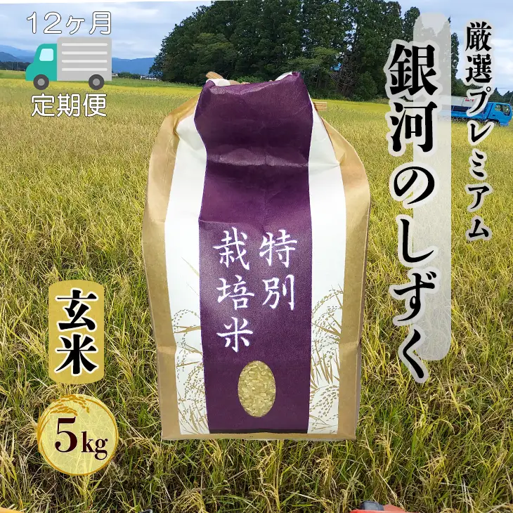 【12ヶ月定期便】銀河のしずく 厳選プレミアム 玄米 5kg【2531】