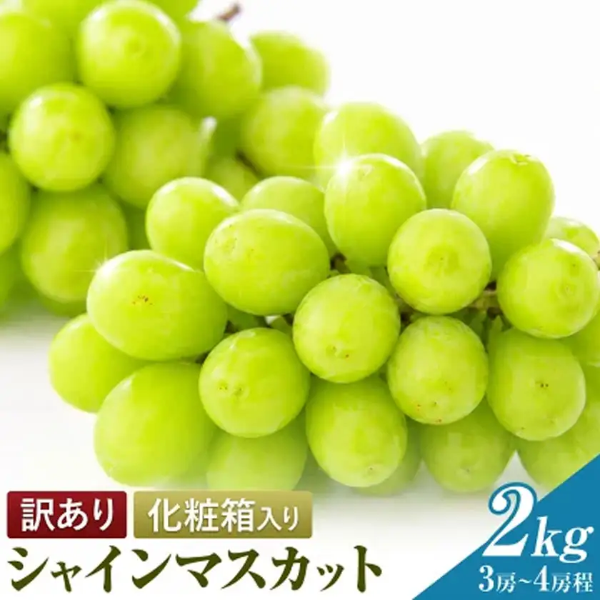 訳あり フルーツ王国 岡山県産 シャインマスカット 化粧箱入り 2kg 3房～4房前後