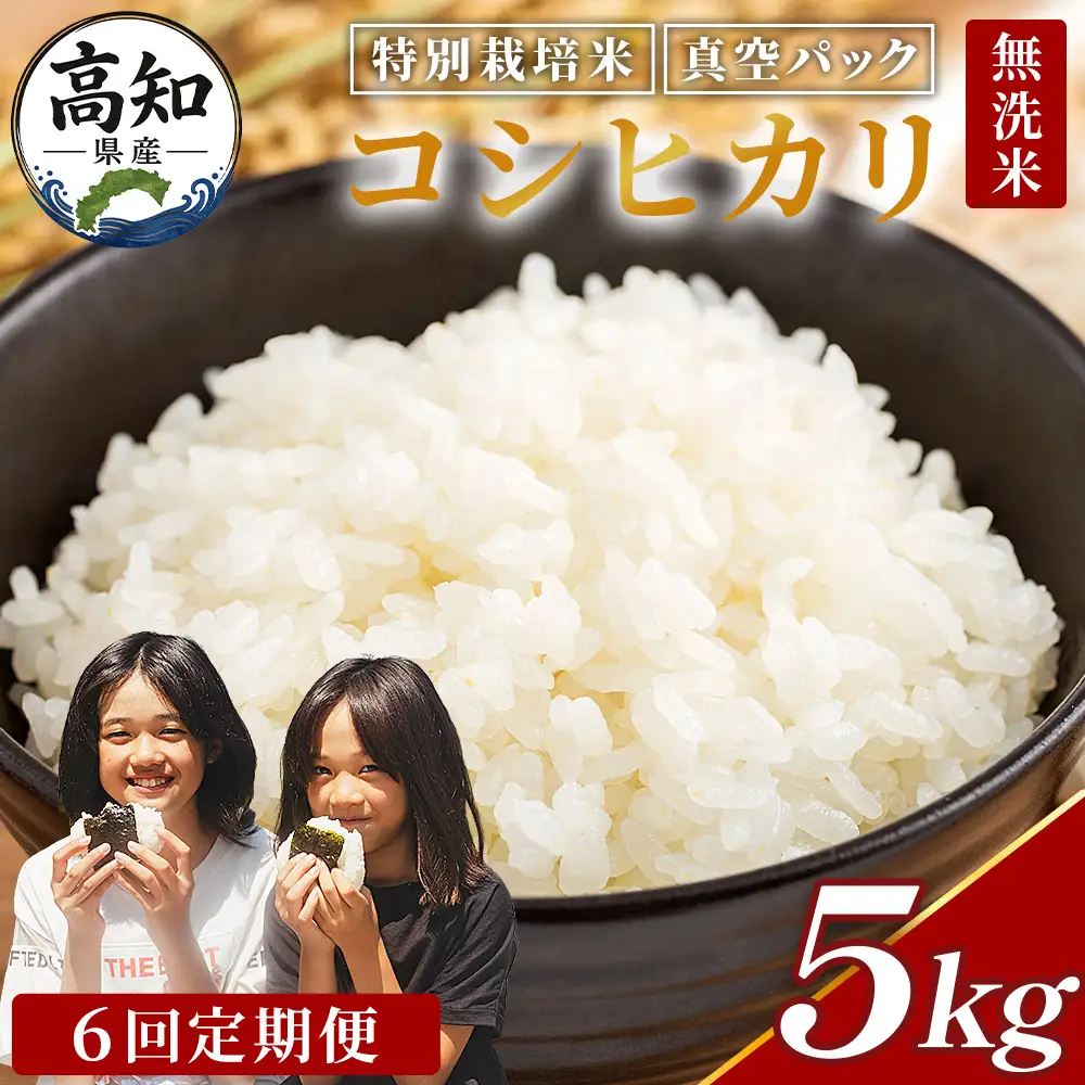 【定期便】特別栽培米 コシヒカリ 5kg 特別栽培米 Wnu-0015