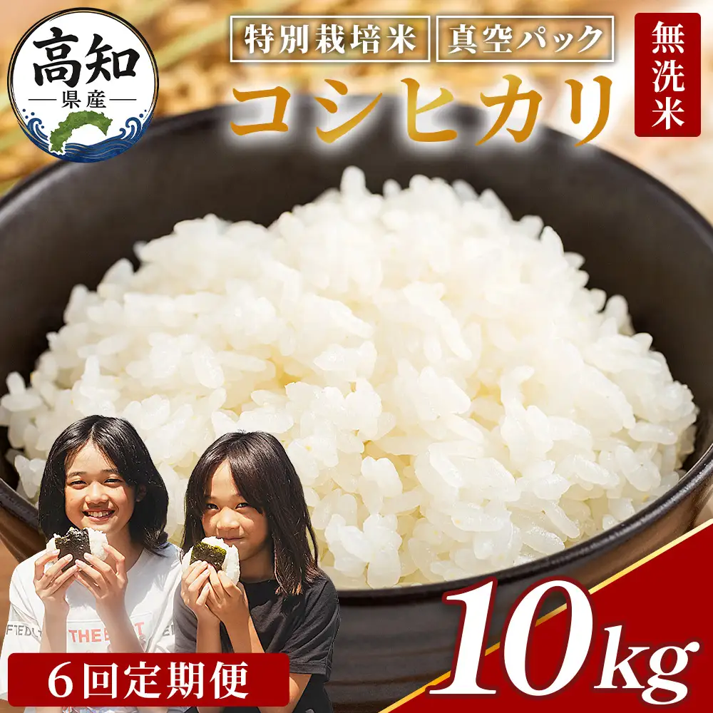 【6回定期便】令和8年産 高知県香南市産 特別栽培米 コシヒカリ 10kg - 国産 米 お米 こしひかり 白米 どうぞ ごはん おにぎり ご飯 防災 非常食 備蓄 kome 高知県 香南市 常温 Wnu-0016