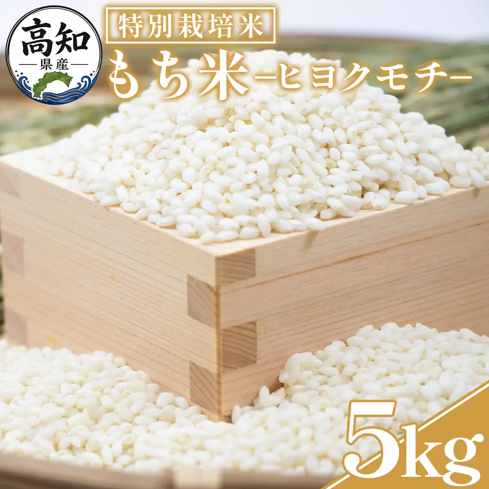 もち米 ５kg 【もち米】 特別栽培米 nu-0018