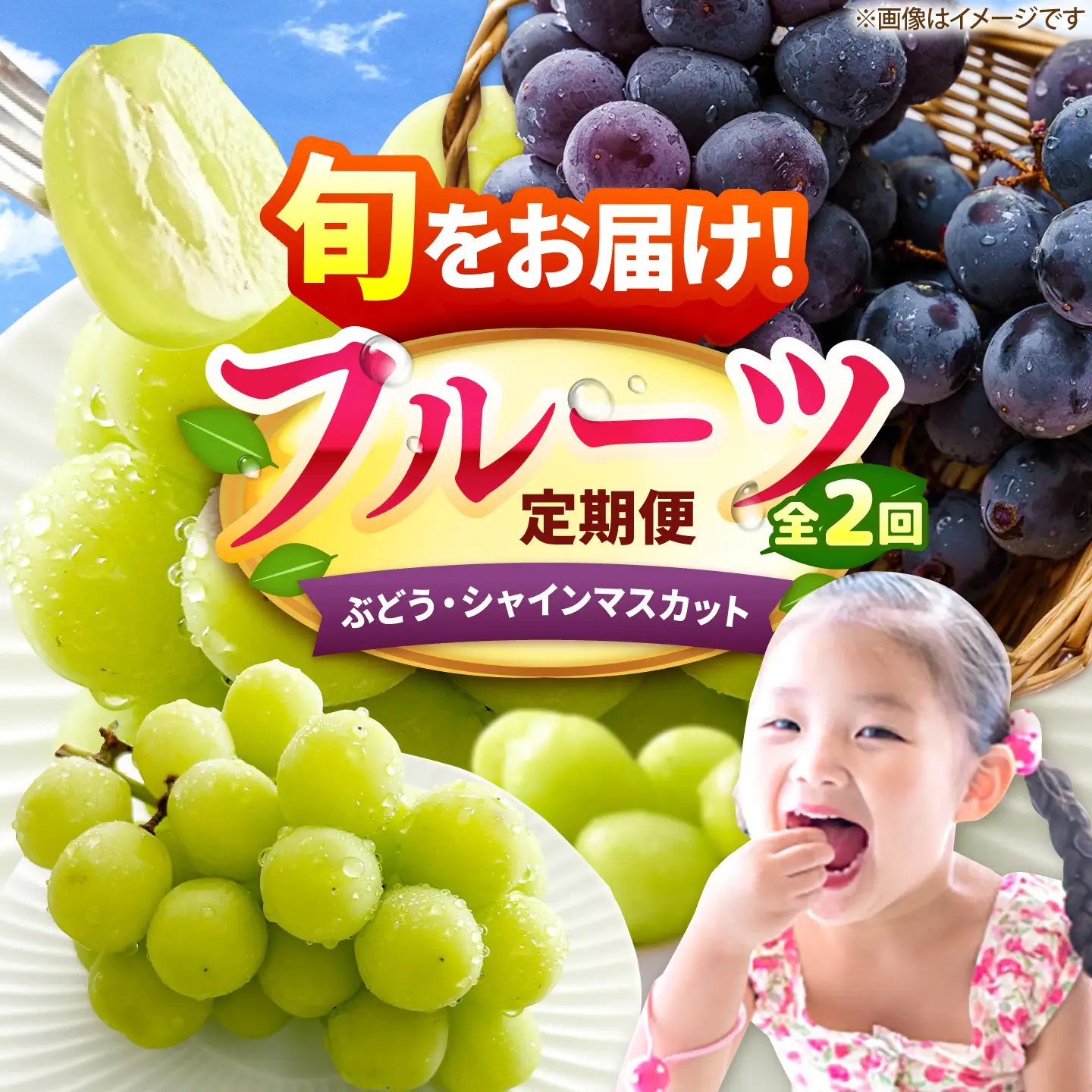 【2回定期便】フルーツ定期便（ぶどう/シャインマスカット） 広川町 / JAふくおか八女農産物直売所どろや[AFAB122]