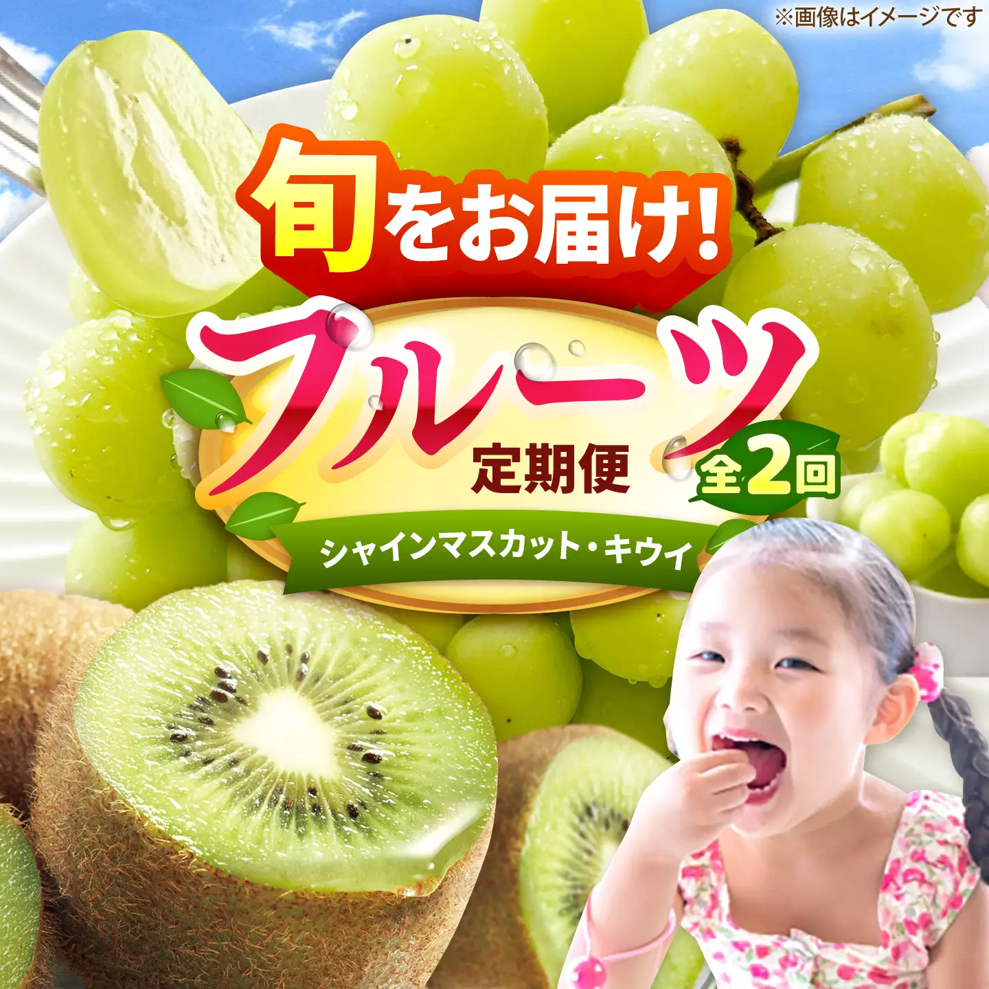 【2回定期便】フルーツ定期便（シャインマスカット/キウイ） 広川町 / JAふくおか八女農産物直売所どろや[AFAB123]