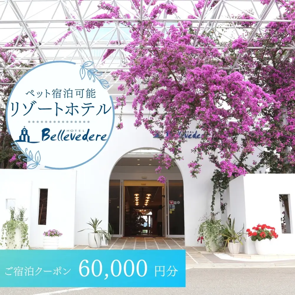 ホテルベルヴェデーレ 宿泊クーポン 60,000円分 宿泊チケット リゾートホテル 和歌山 紀南 南紀 観光【iki111】 