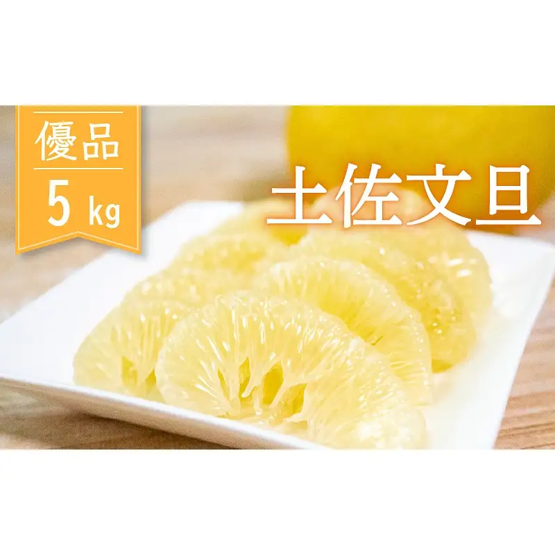 土佐文旦 優品 5kg 先行予約 2027年2月から順次発送