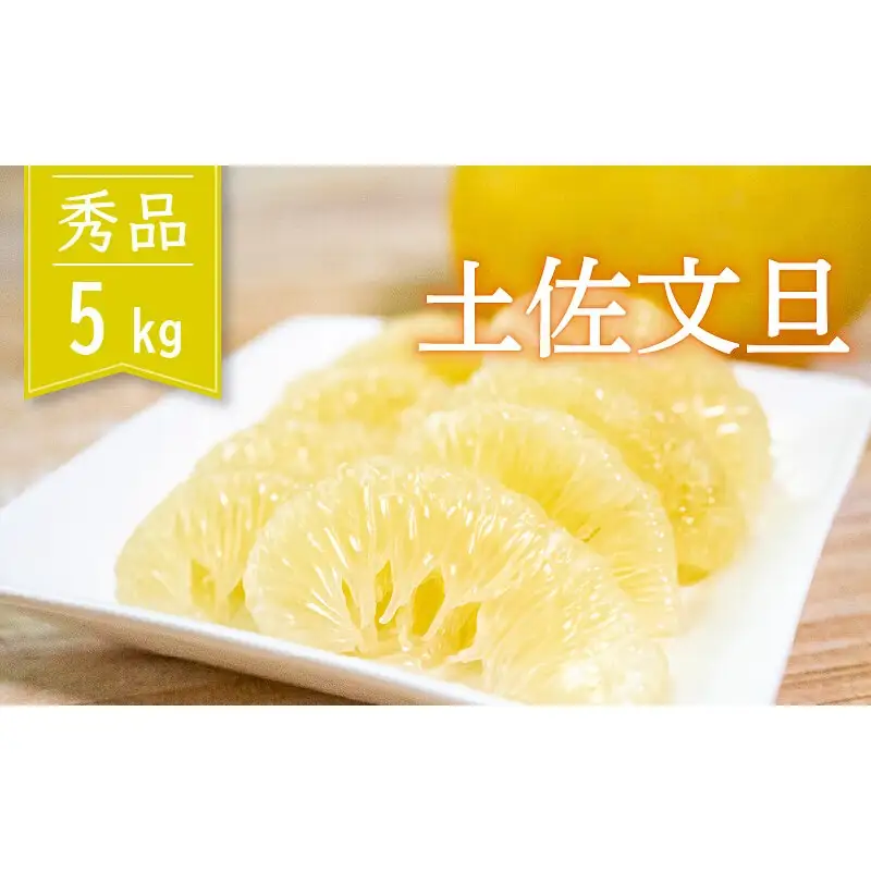 土佐文旦 秀品 5kg 先行予約 2027年２月から順次発送