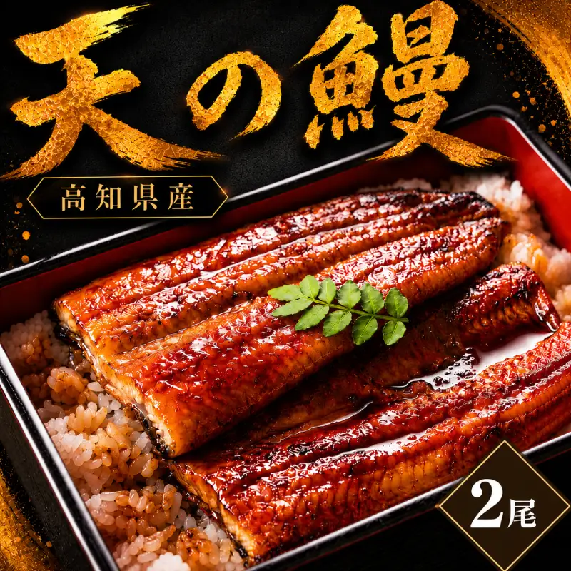 鰻 蒲焼 2尾 セット 土佐料理司