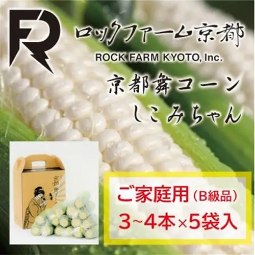 【ロックファーム京都】しこみちゃん 京都舞コーンのB級品(ホワイトコーン)　白いトウモロコシ【配送不可地域：離島・北海道・沖縄県・東北】【1757004】