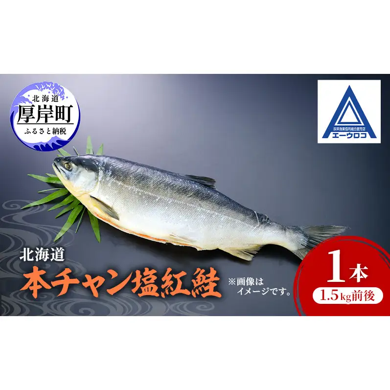 北海道 本チャン 塩紅鮭 1本 1.5kg前後 [ 鮭 サケ 紅鮭 紅サケ 魚 産地直送 焼き魚 ]