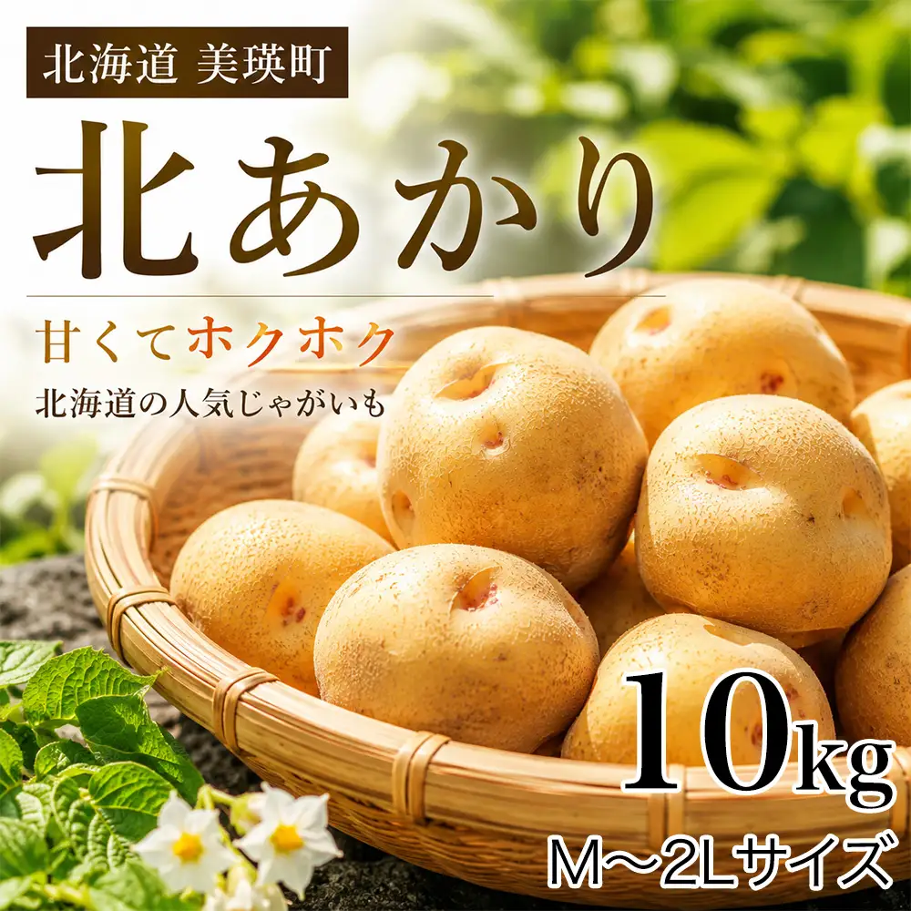 【先行予約】じゃがいも きたあかり 10kg ＜令和8年産＞ おおとり