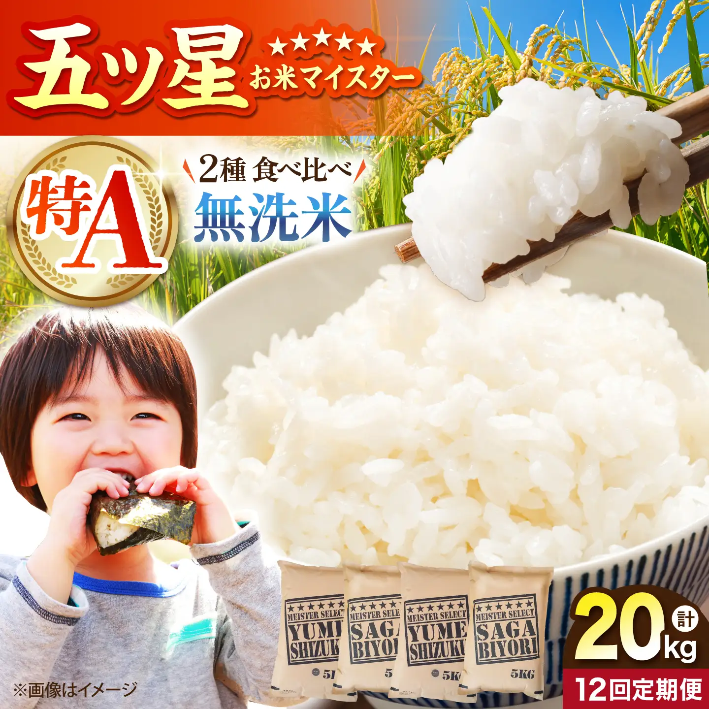 【全12回定期便】 無洗米 食べ比べ さがびより・夢しずく 20kg（各5kg×2袋）【五つ星お米マイスター厳選】特A米 特A評価[HBL154]