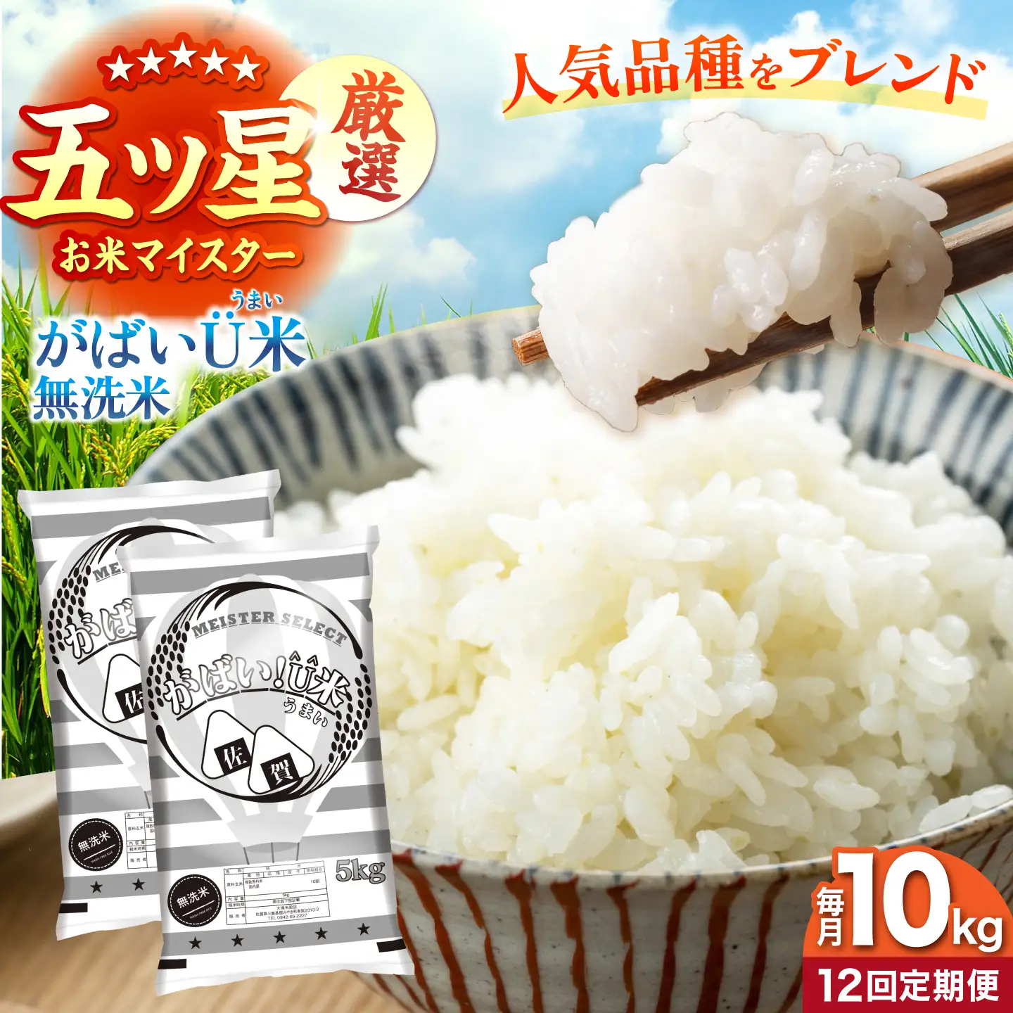 【全12回定期便】がばいU米（うまい）無洗米 10kg 【大塚米穀店】[HBL160]