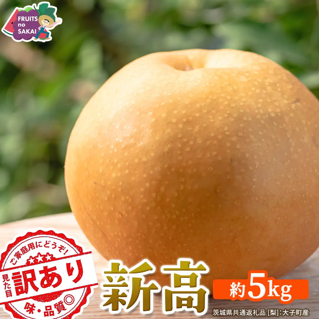 ＜ 訳あり ＞ 新高 約5kg 【2026年10月より発送開始】（茨城県共通返礼品 [梨]：大子町産）
