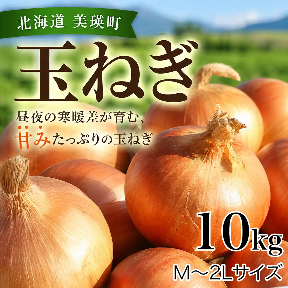【先行予約】北海道 玉ねぎ 10kg ＜令和8年産＞ おおとり 2026年10月上旬より順次発送