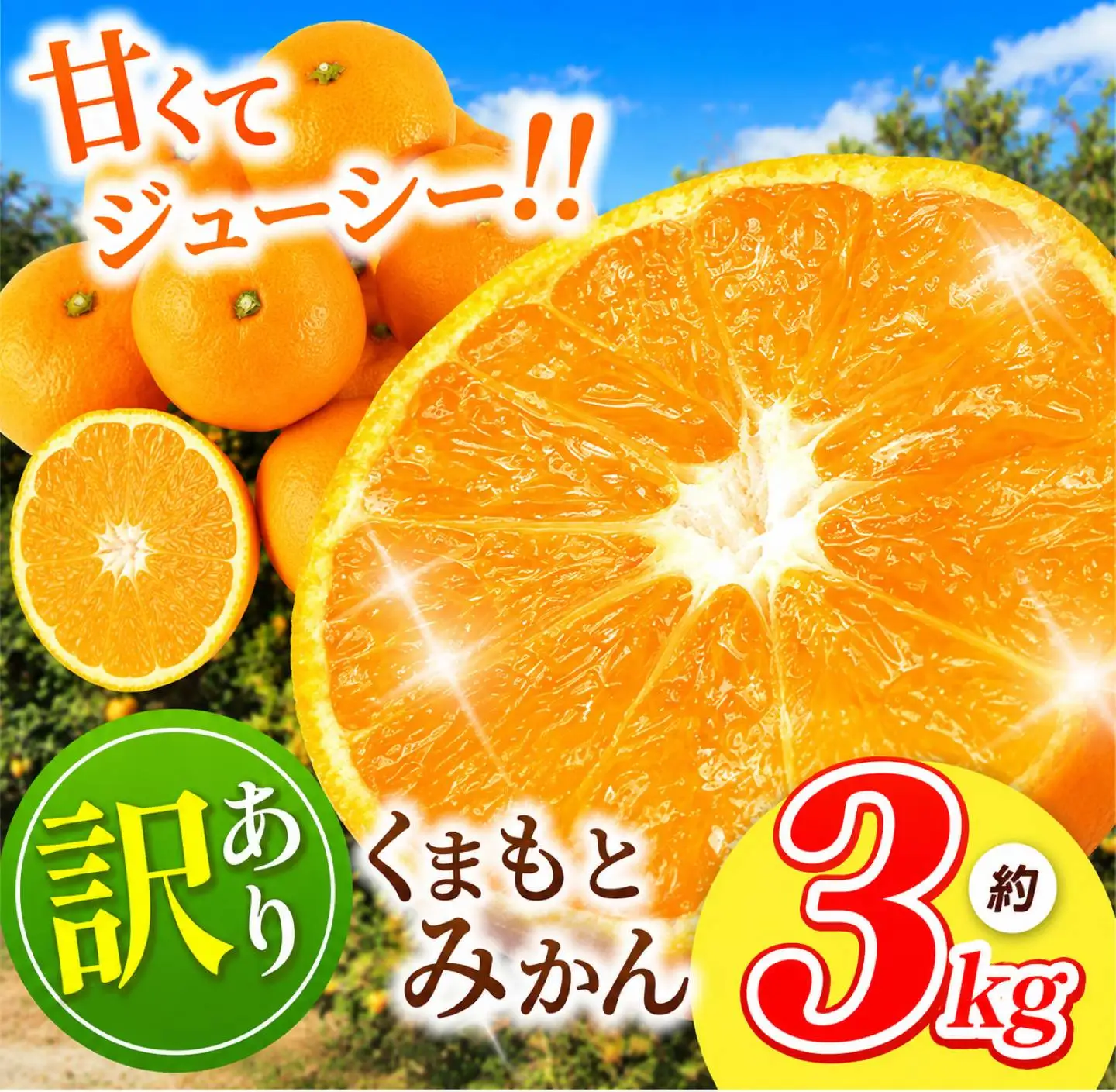 訳あり 熊本県産 温州 みかん 約 3kg