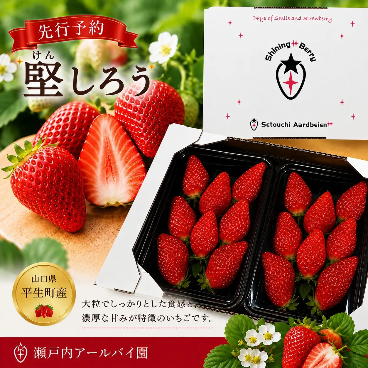 【令和8年度 先行予約】【年明け発送】堅しろう（けんしろう）480g【240g×2パック】