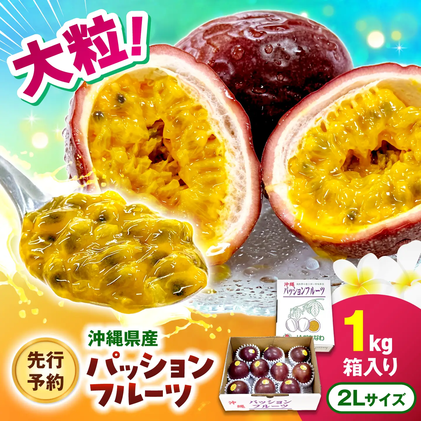 【2027年発送】【先行予約】 沖縄県産パッションフルーツ (1kg箱入り)／南国フルーツ 国産 果物 ギフト 産地直送 お取り寄せ 沖縄産 沖縄市 / ちゃんぷる～市場[BCAA009]