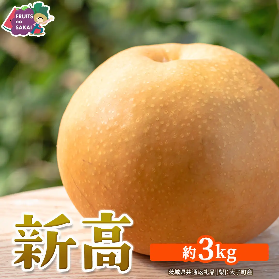 新高 約3kg 【2026年10月より発送開始】（茨城県共通返礼品 [梨]：大子町産）