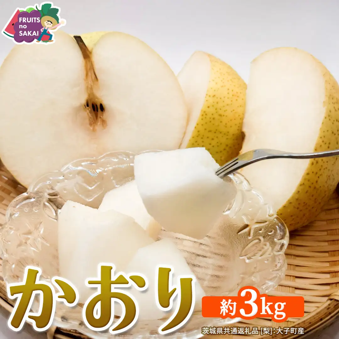 かおり 約3kg 【2026年9月より発送開始】（茨城県共通返礼品 [梨]：大子町産）