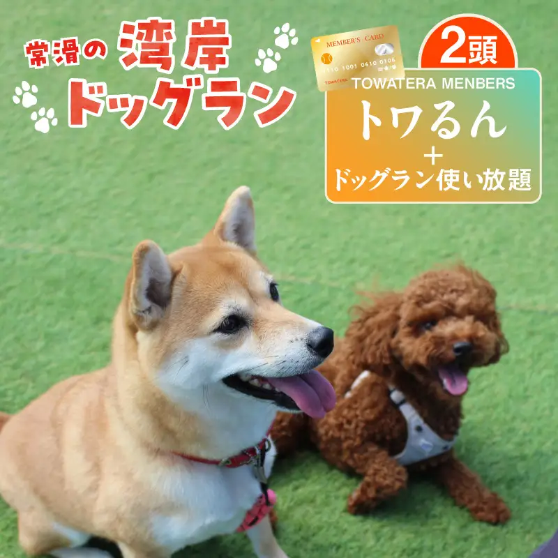【TOWATERAメンバーズ】ドッグラン、ペットホテルなどをお得に利用できる「トワるん」会員入会＋ドッグラン使い放題【2頭】｜ペット 常滑市