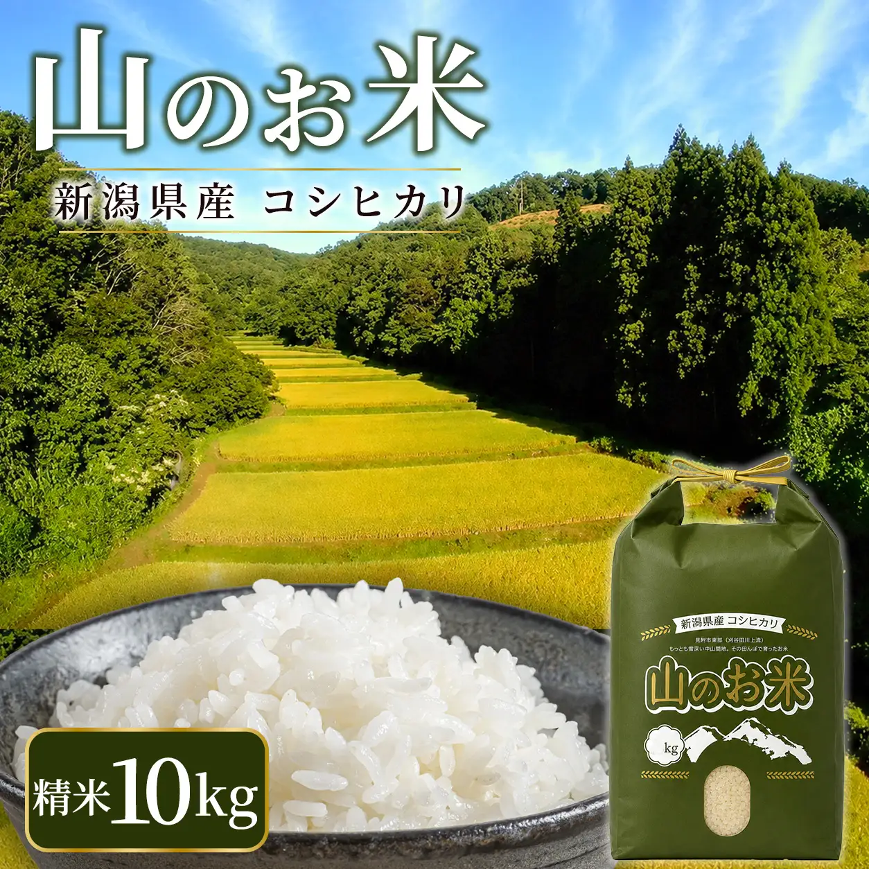 令和8年産 山のお米　新潟県産コシヒカリ精米10kg（5kg×2袋）