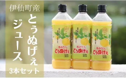 島みかんとぅぬげぇジュース　3本セット