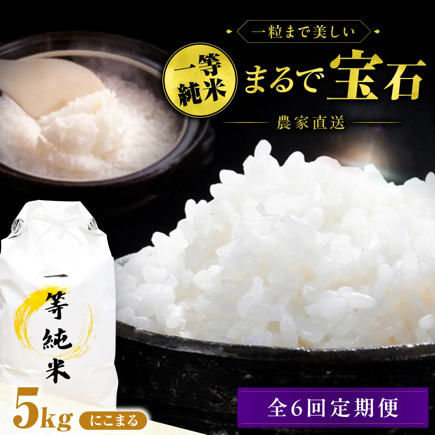 【6回定期便】 一等純米 にこまる 5kg / 米 お米 精米 白米 一等米 愛知県産 国産米 / 稲沢市 / 有限会社ハシモト耕販[BMBP006]